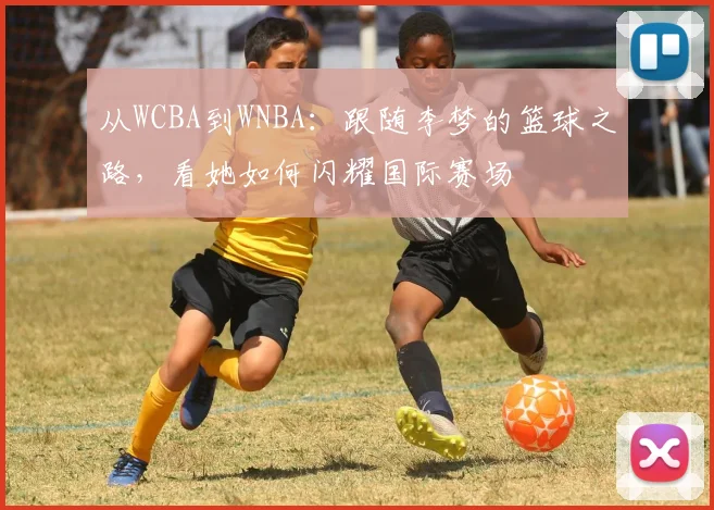 从WCBA到WNBA：跟随李梦的篮球之路，看她如何闪耀国际赛场