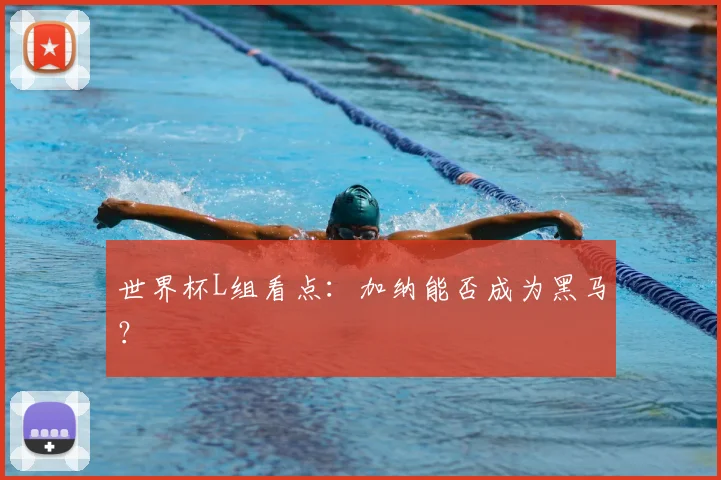 世界杯L组看点：加纳能否成为黑马？