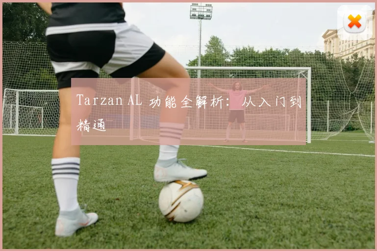 Tarzan AL 功能全解析：从入门到精通
